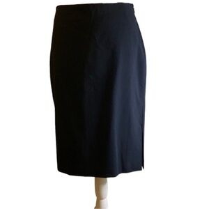 Ann Taylor Skirt